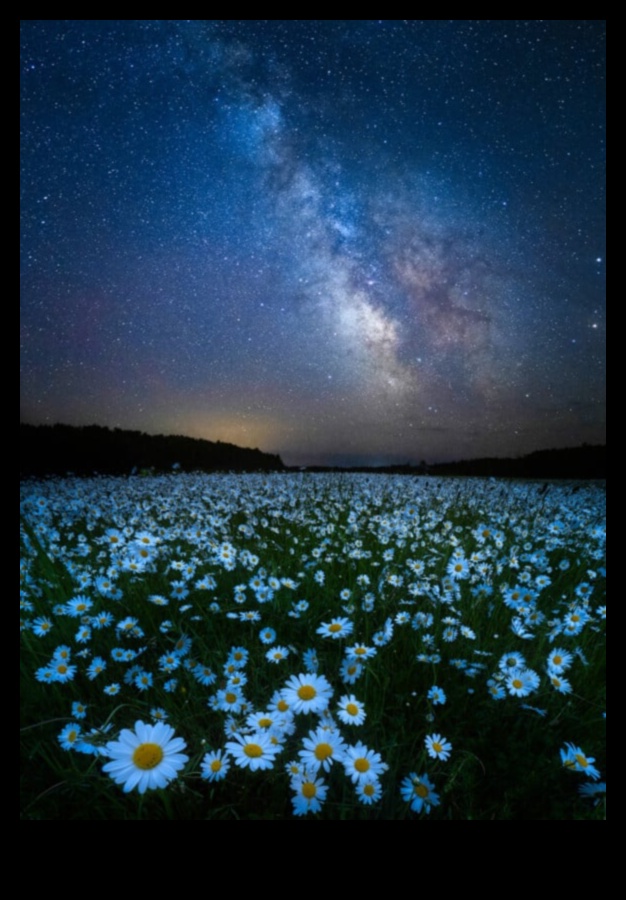 Göksel Serenity: Astro-Fotografi Stilleri ile Kozmik Sakin Gezinme